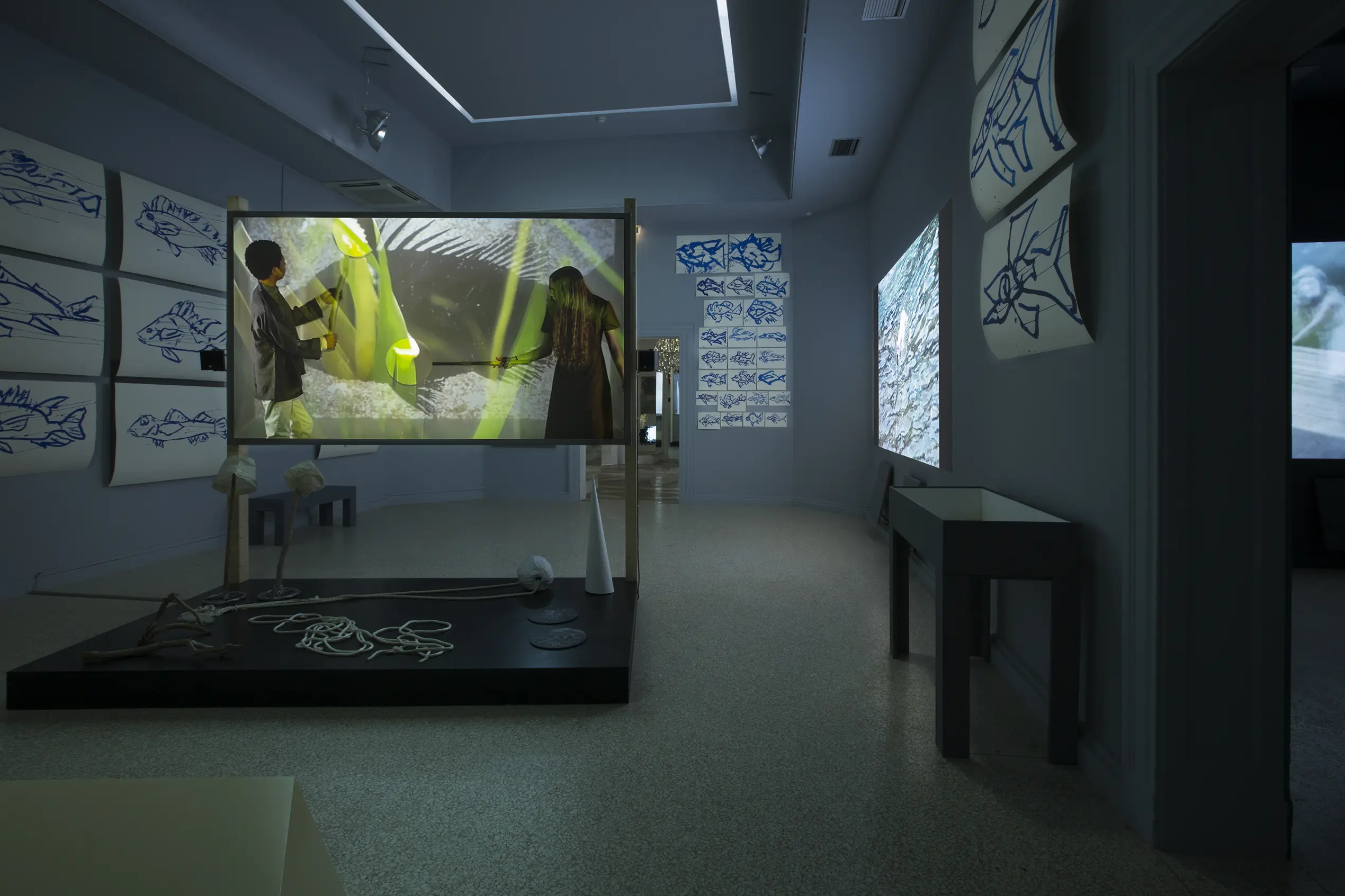 Joan Jonas installation view of They Come to Us without a Word (Fish) Photo-Moira-Ricci